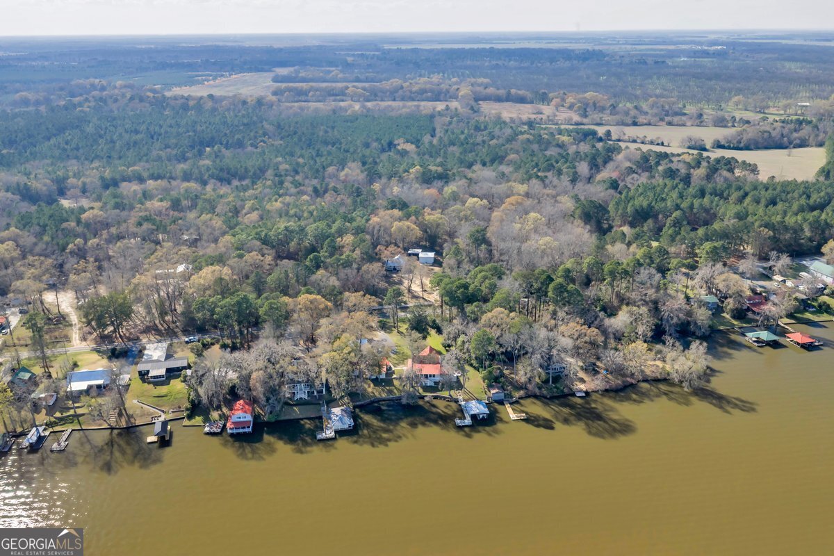 418 Flintside Drive Cobb, GA 31735 - Photo 37 of 45 an aerial view of a houses with city view