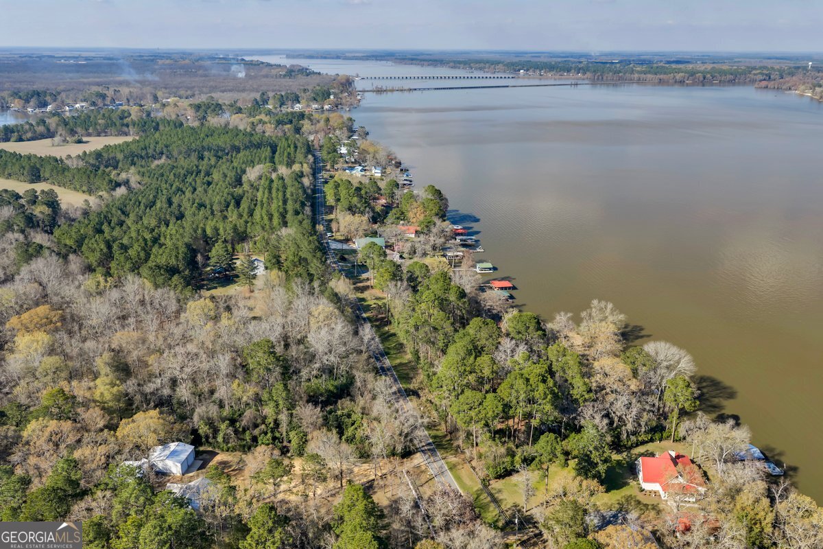418 Flintside Drive Cobb, GA 31735 - Photo 39 of 45 a view of a lake with a tree
