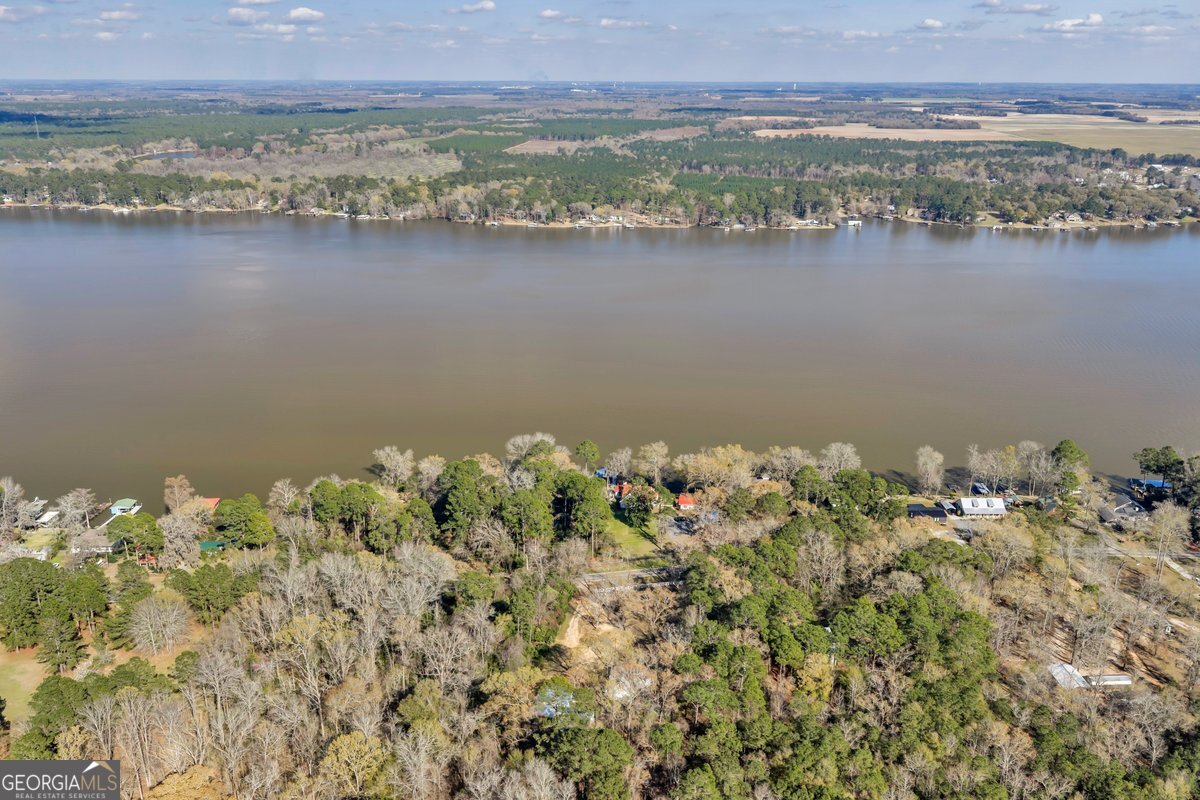 418 Flintside Drive Cobb, GA 31735 - Photo 40 of 45 a view of a lake with a city