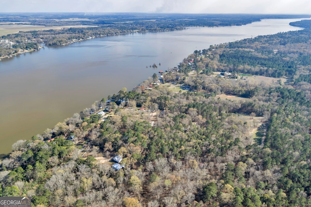 418 Flintside Drive Cobb, GA 31735 - Photo 41 of 45 a view of a lake with a mountain in the background