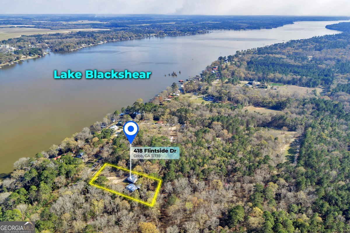 418 Flintside Drive Cobb, GA 31735 - Photo 42 of 45 a view of lake