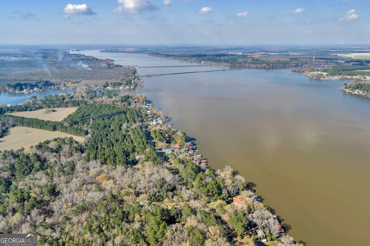 418 Flintside Drive Cobb, GA 31735 - Photo 43 of 45 a view of a lake with a mountain