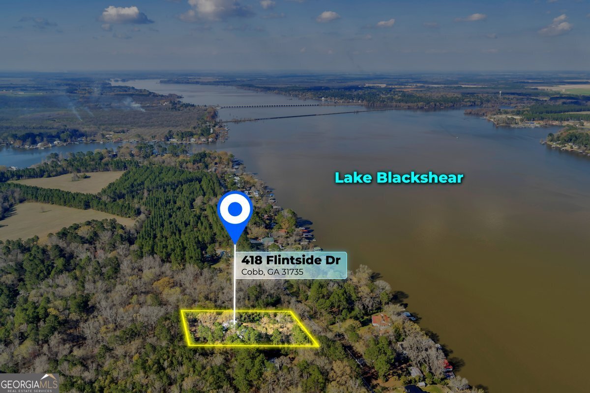 418 Flintside Drive Cobb, GA 31735 - Photo 44 of 45 a picture of a lake view