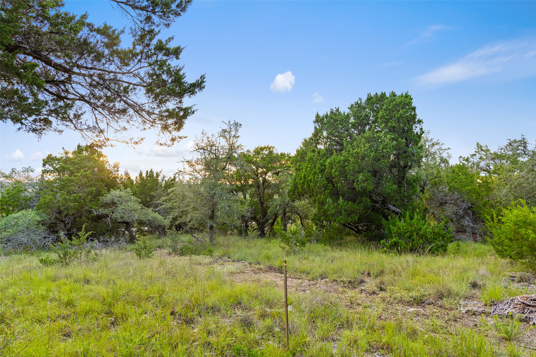 31890 Mirela Ann Road Dripping Springs, TX 78620 - Photo 2 of 13 This lot has beautiful views from the build site!