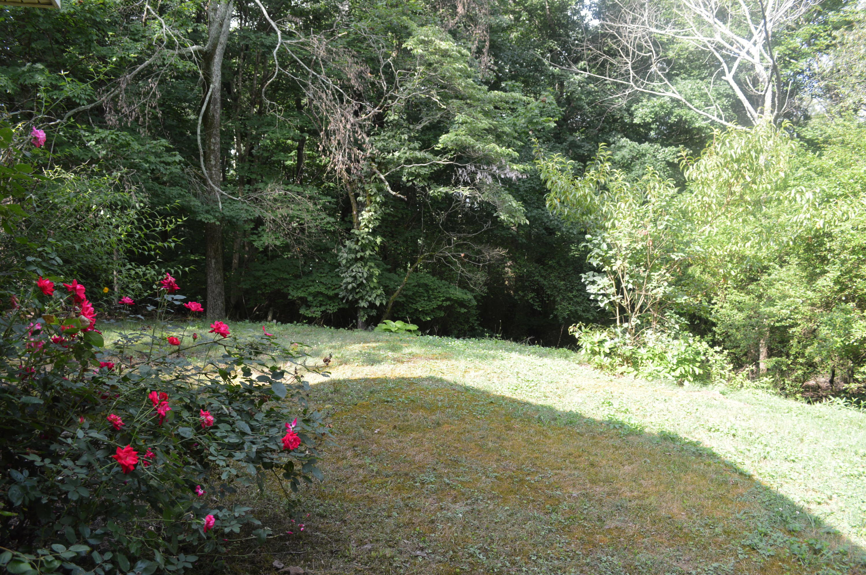 3525 Buchanan Road Southeast Cleveland, TN 37323 - Photo 11 of 31 DSC_0246