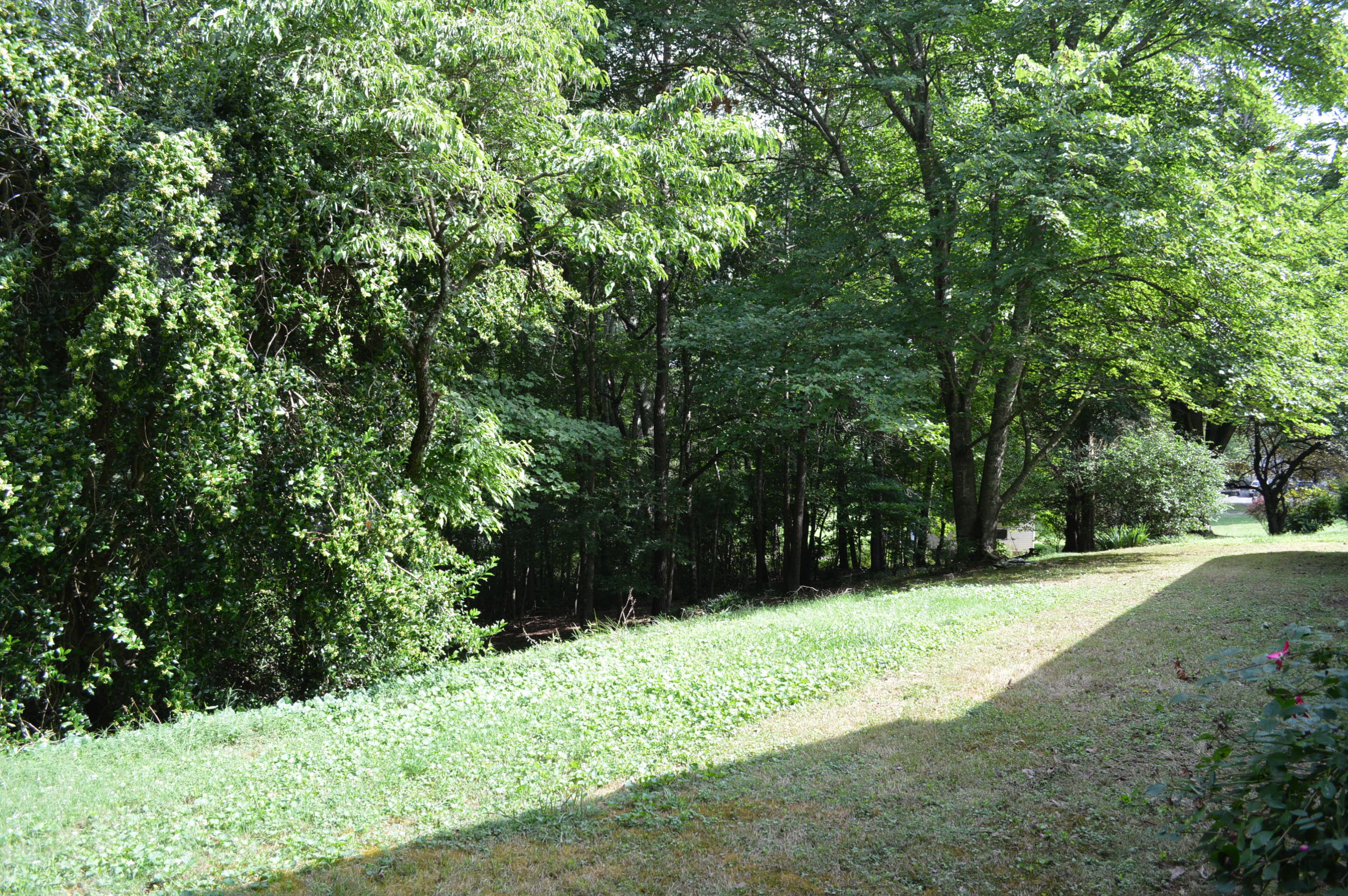 3525 Buchanan Road Southeast Cleveland, TN 37323 - Photo 13 of 31 DSC_0253