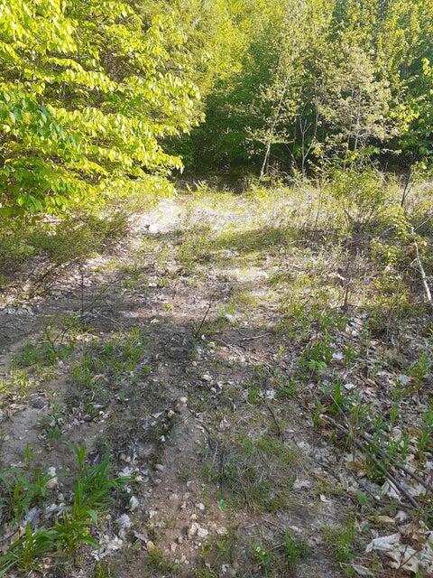 R05-0023 Tripptown Road Hiram, ME 04041 - Photo 6 of 11 Land Pic 7