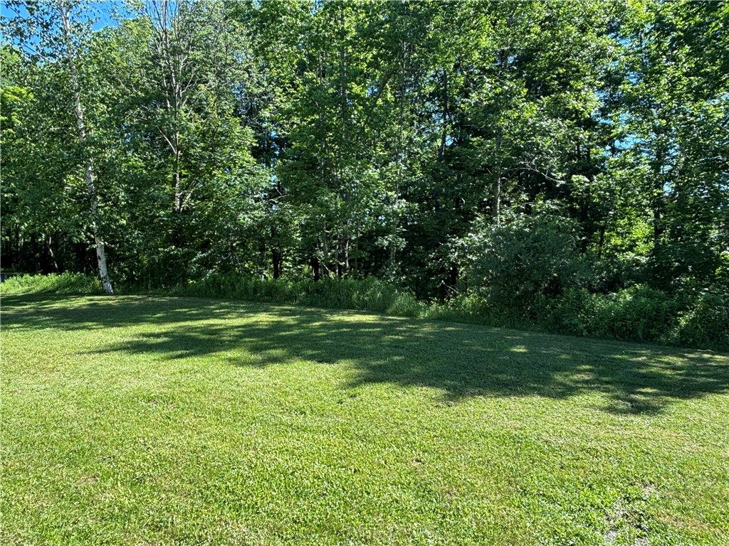 125 Maple Valley Road Worcester, NY 12197 - Photo 35 of 35 Front yard
