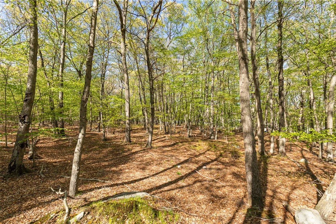 101 Cobble Hill Road Lincoln, RI 02865 - Photo 9 of 44