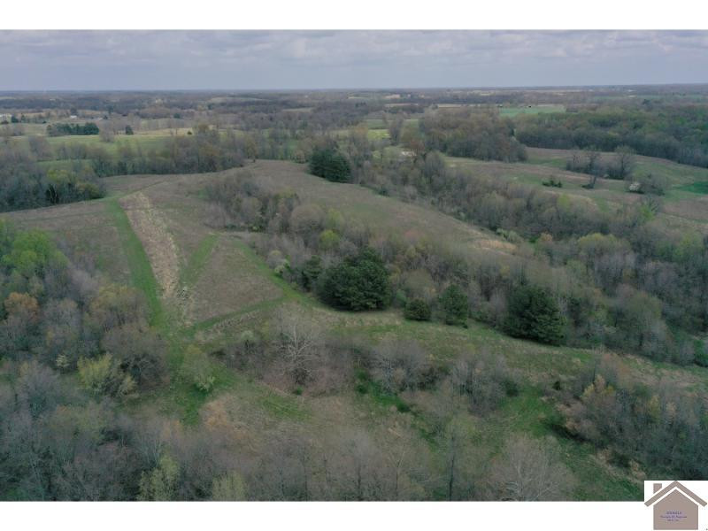 5851 Reuben Road Water Valley, KY 42085 - Photo 23 of 35 Photo 23