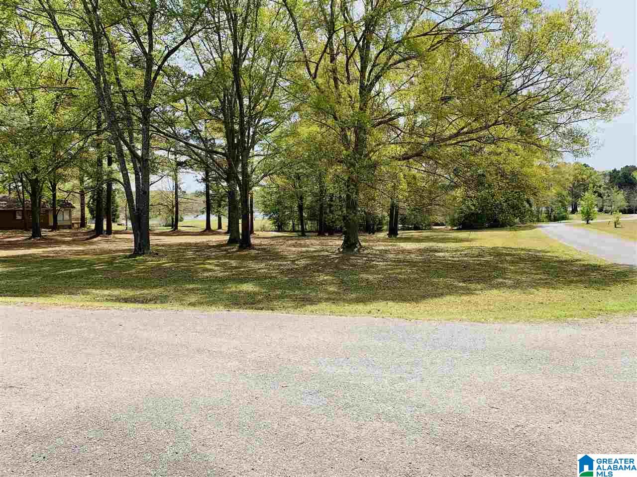0 Carleton Point, Unit 10 Wilsonville, AL 35186 - Photo 9 of 14