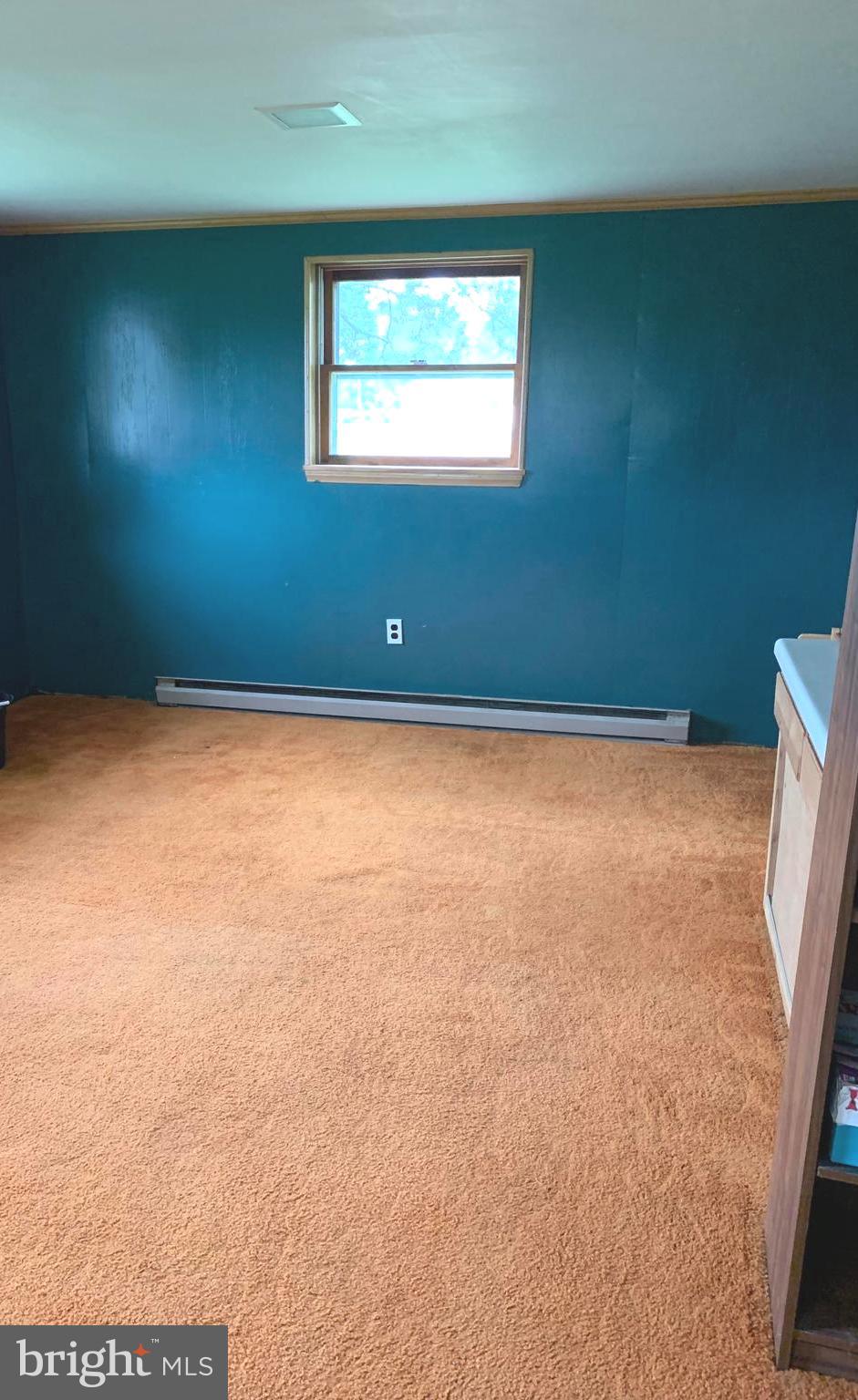 240 Sycamore Road Elkton, MD 21921 - Photo 23 of 35 Lower Level - L-Shaped Living Space
