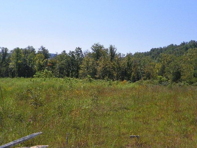 1 Rainey Road Somerset, KY 42503 - Photo 3 of 7 Additional Photo