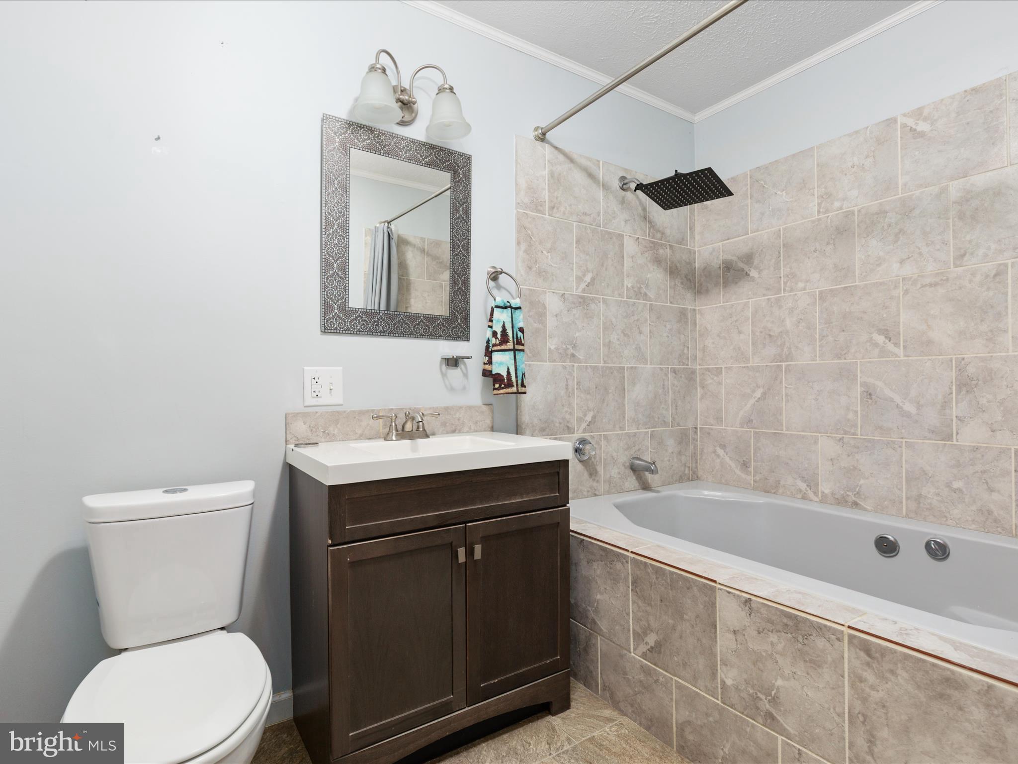 214 Walnut Drive Clear Brook, VA 22624 - Photo 18 of 75 a bathroom with a sink a toilet and shower