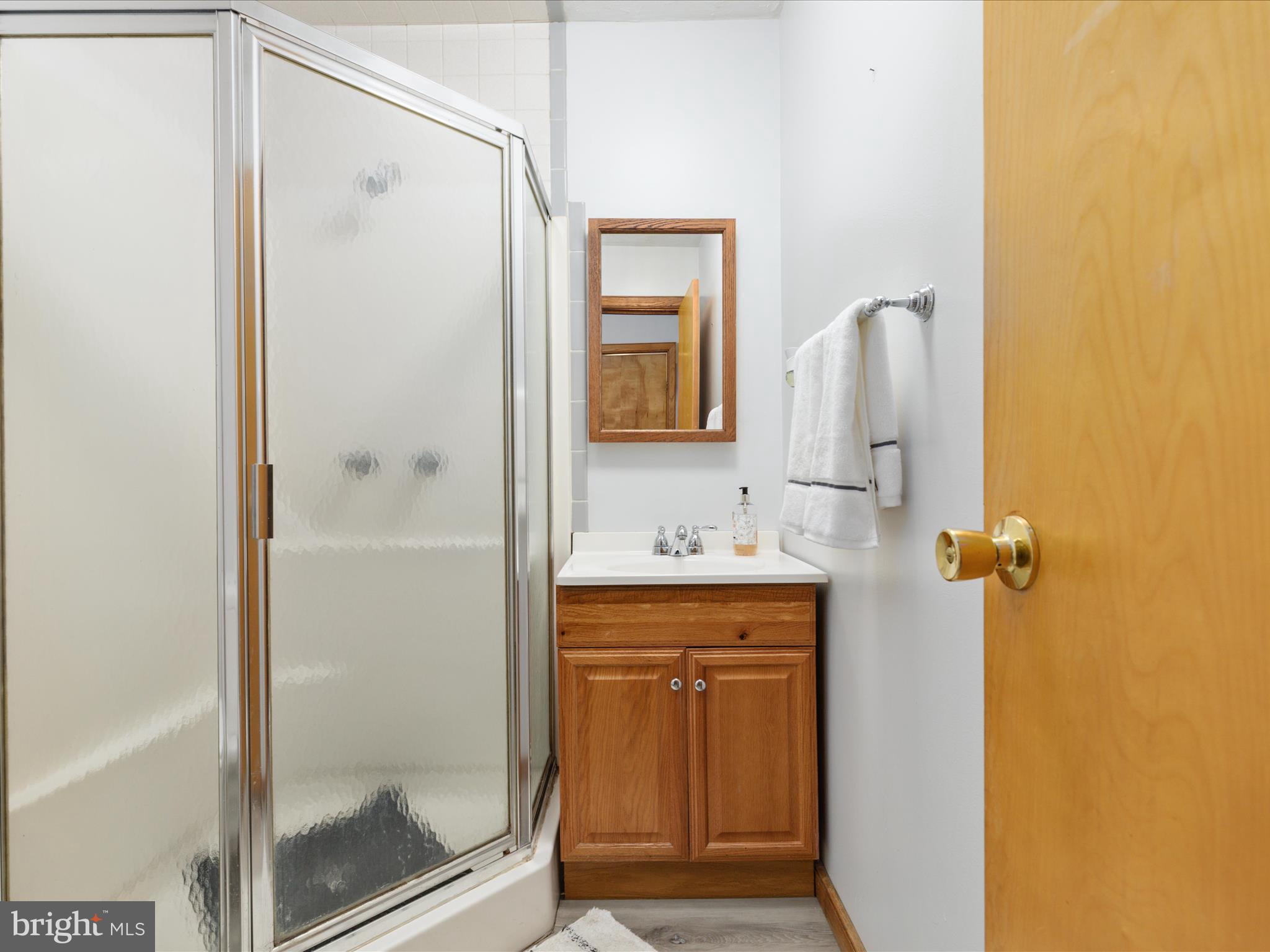214 Walnut Drive Clear Brook, VA 22624 - Photo 25 of 75 a bathroom with a shower and a sink