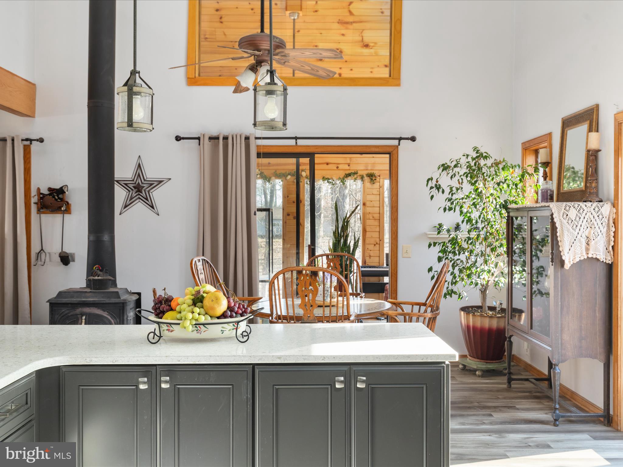 214 Walnut Drive Clear Brook, VA 22624 - Photo 3 of 75 a kitchen with a sink and a potted plant