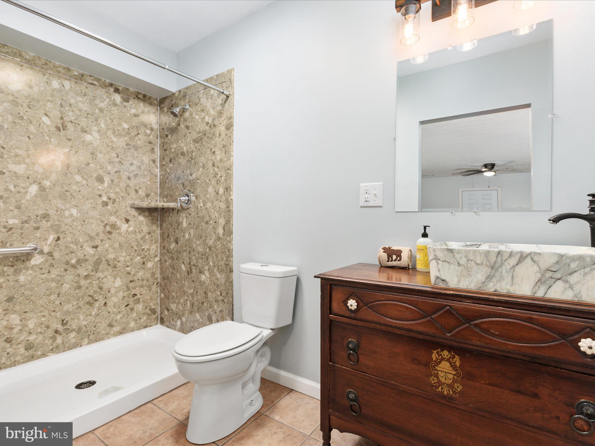 214 Walnut Drive Clear Brook, VA 22624 - Photo 34 of 75 a bathroom with a sink a toilet and shower