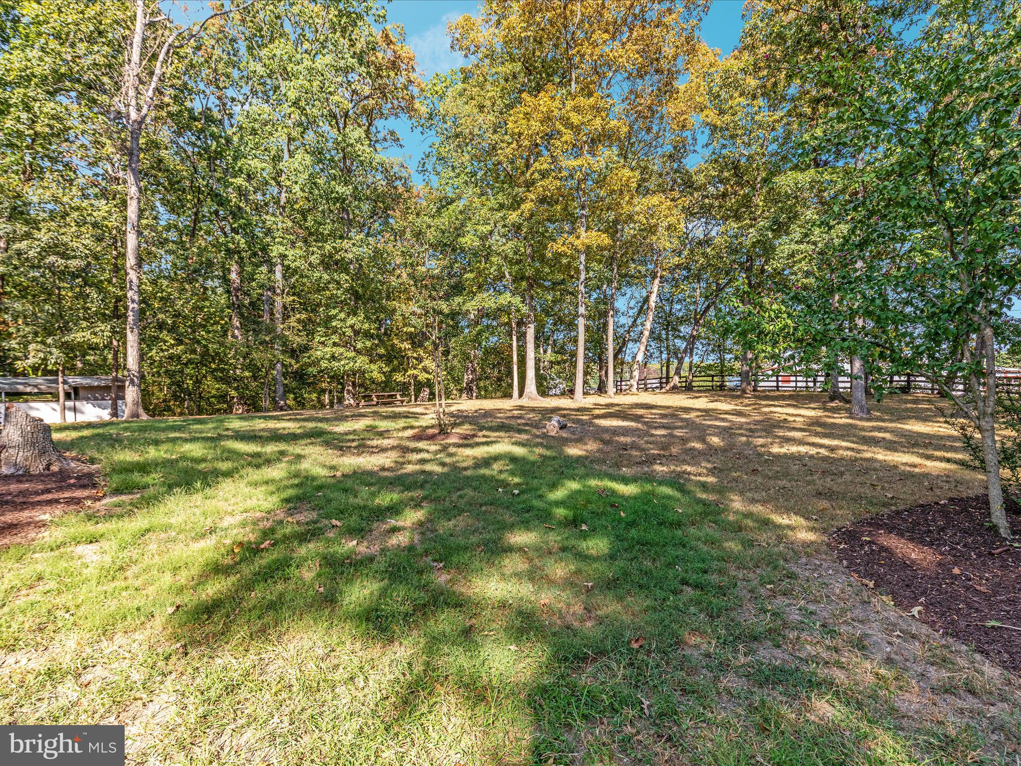 214 Walnut Drive Clear Brook, VA 22624 - Photo 42 of 75 a outdoor space with lots of trees