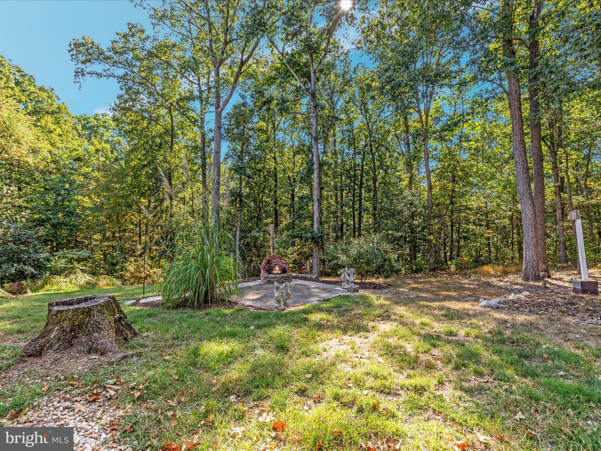 214 Walnut Drive Clear Brook, VA 22624 - Photo 44 of 75 a view of a yard with trees