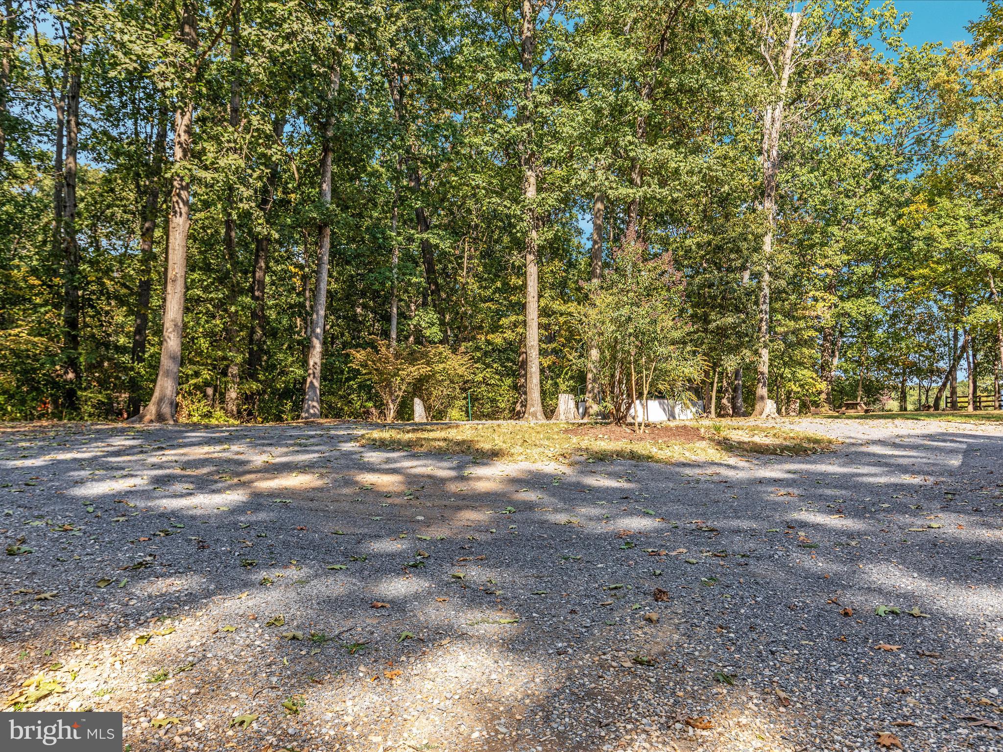 214 Walnut Drive Clear Brook, VA 22624 - Photo 46 of 75 a view of a yard with a trees