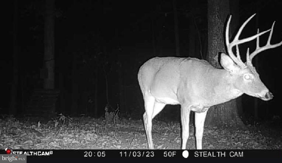 214 Walnut Drive Clear Brook, VA 22624 - Photo 69 of 75