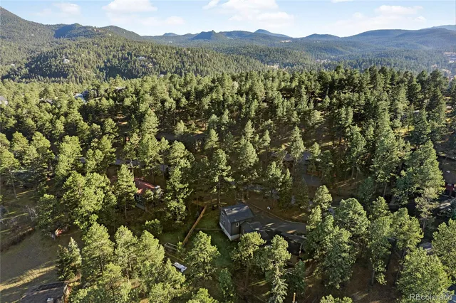 a view of a forest with a mountain