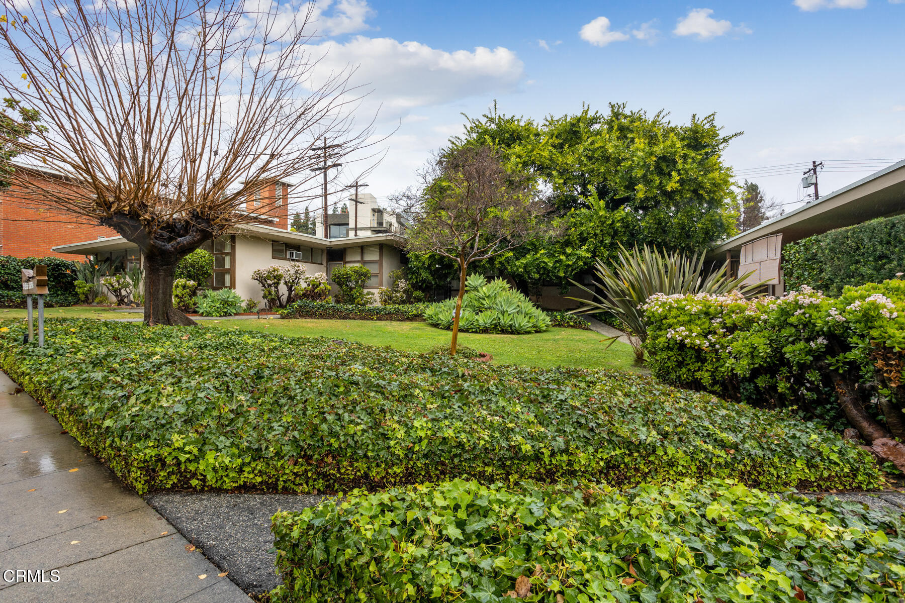 54 Avenue 64 Pasadena, CA 91105 - Photo 3 of 24 a view of a yard with plants and trees