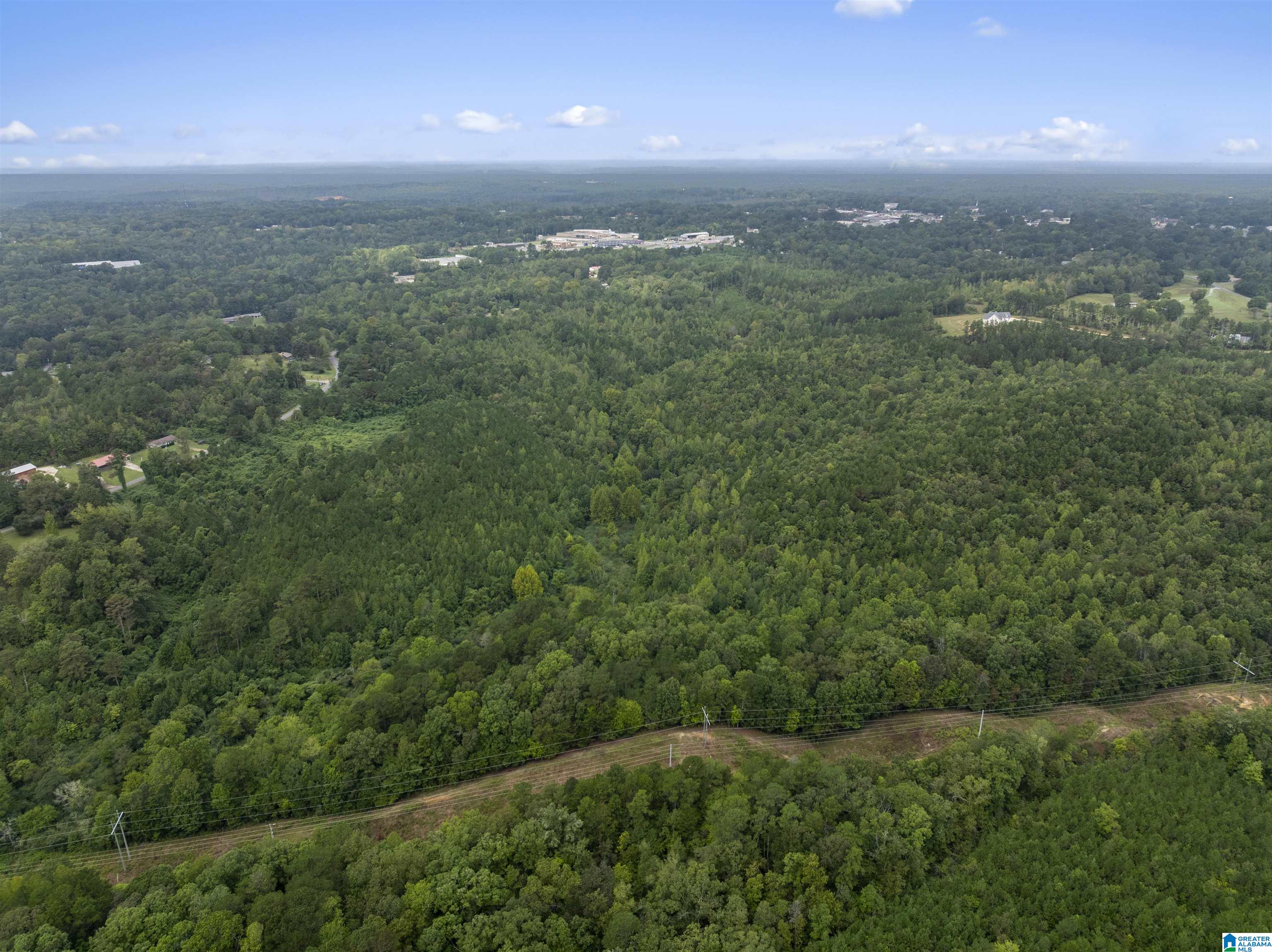0 Beech Grove Road, Unit 1 Haleyville, AL 35565 - Photo 11 of 12