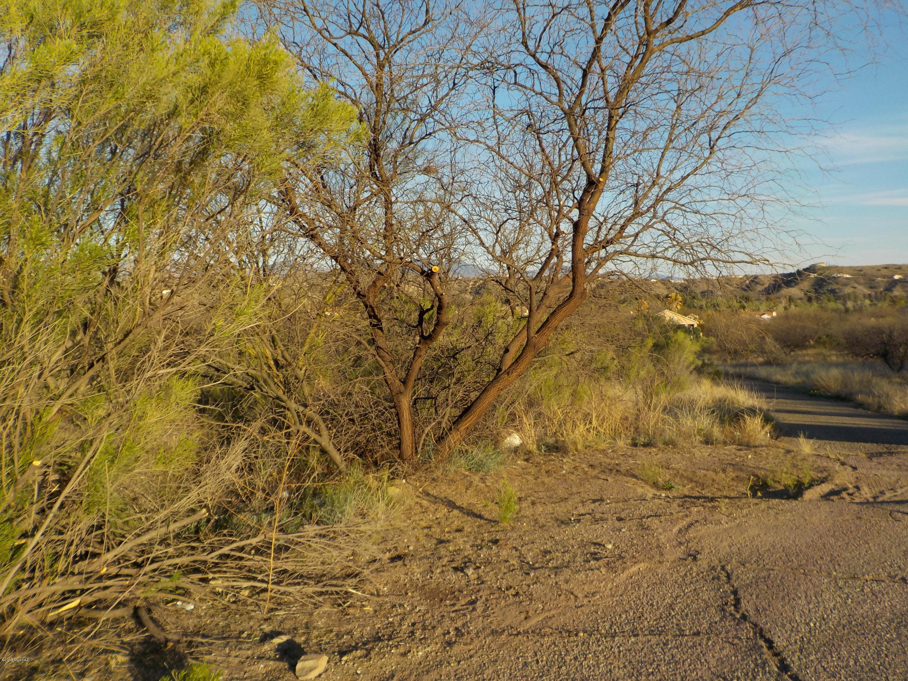 1203 Tango Court, Unit 12 Rio Rico, AZ 85648 - Photo 3 of 4