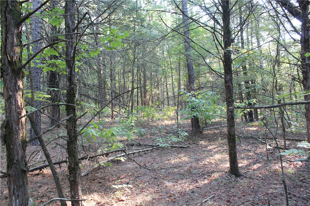 990 Mahan Drive Center Ridge, AR 72027 - Photo 18 of 31 Gallery Image 18