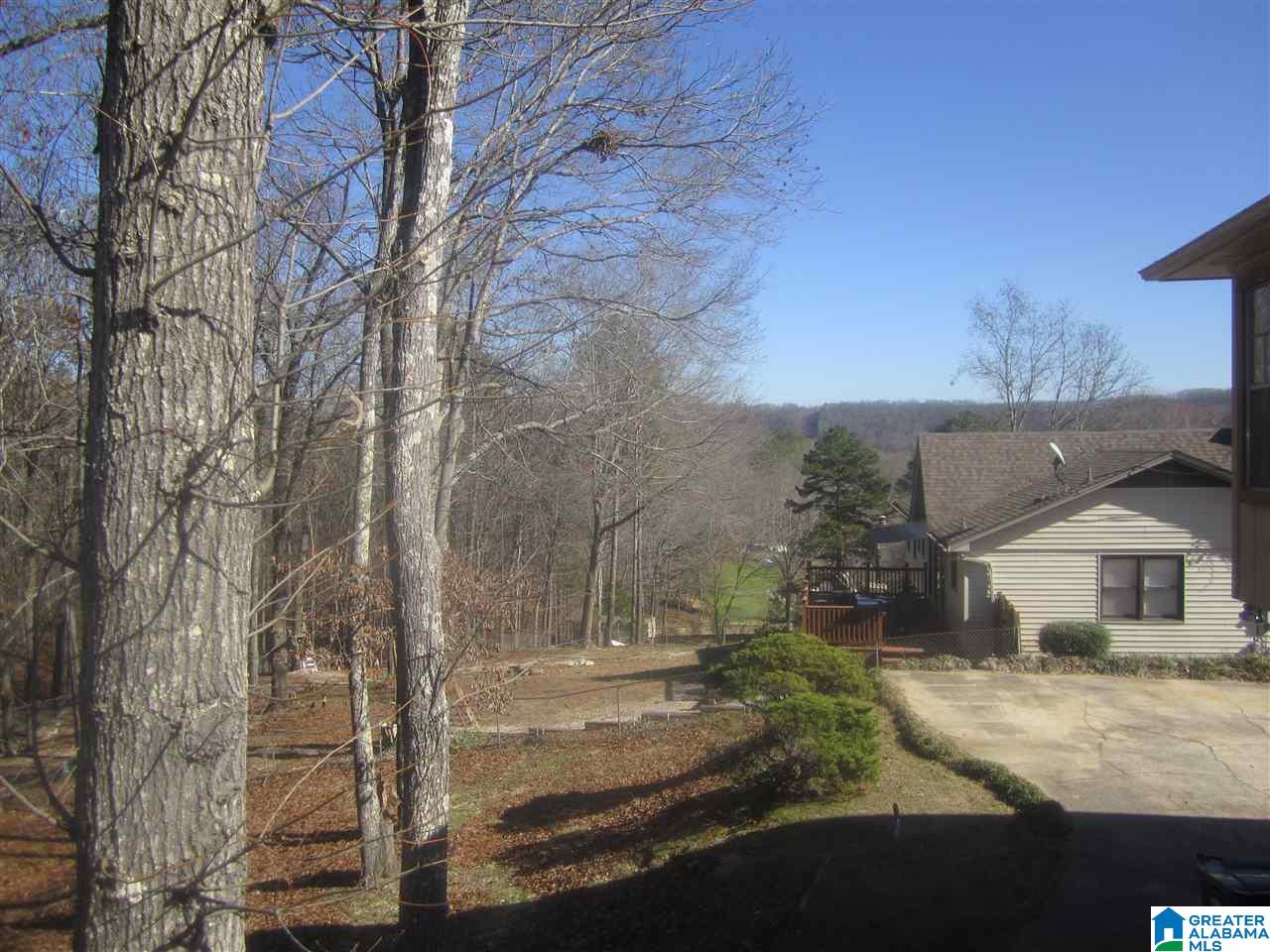 729 Wilderness Road Pelham, AL 35124 - Photo 24 of 32