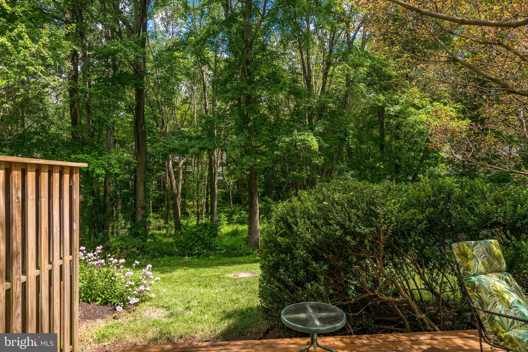 1600 Barnstead Drive Reston, VA 20194 - Photo 33 of 37 View of the woods from patio