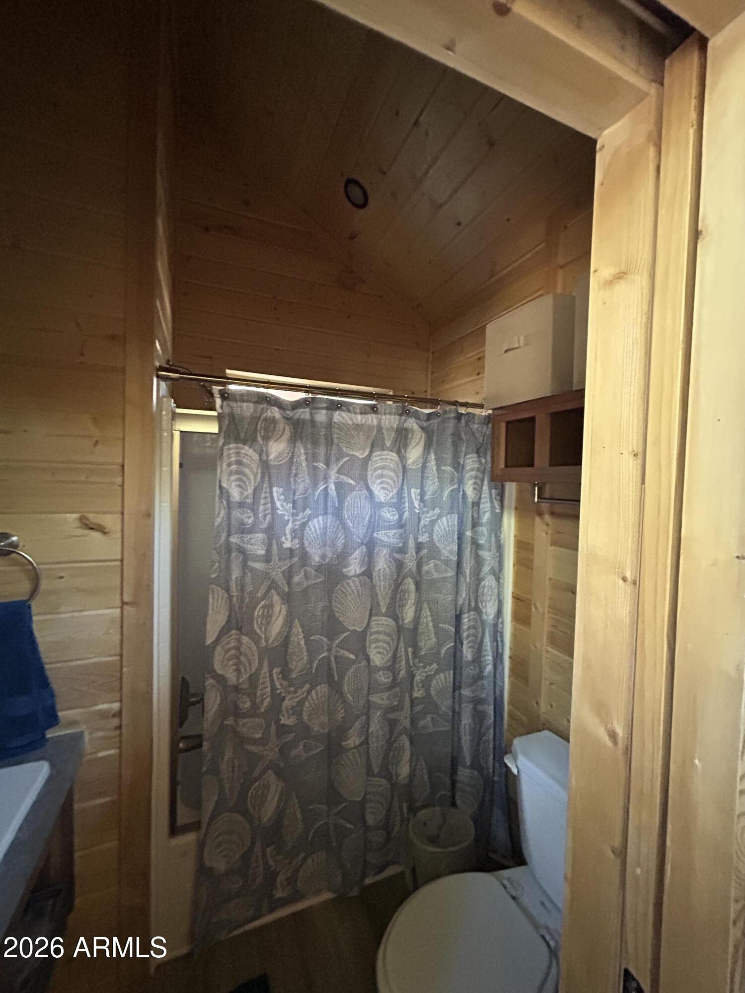 4020 South Elk Trot Loop Show Low, AZ 85901 - Photo 12 of 33 a bathroom with a shower and toilet