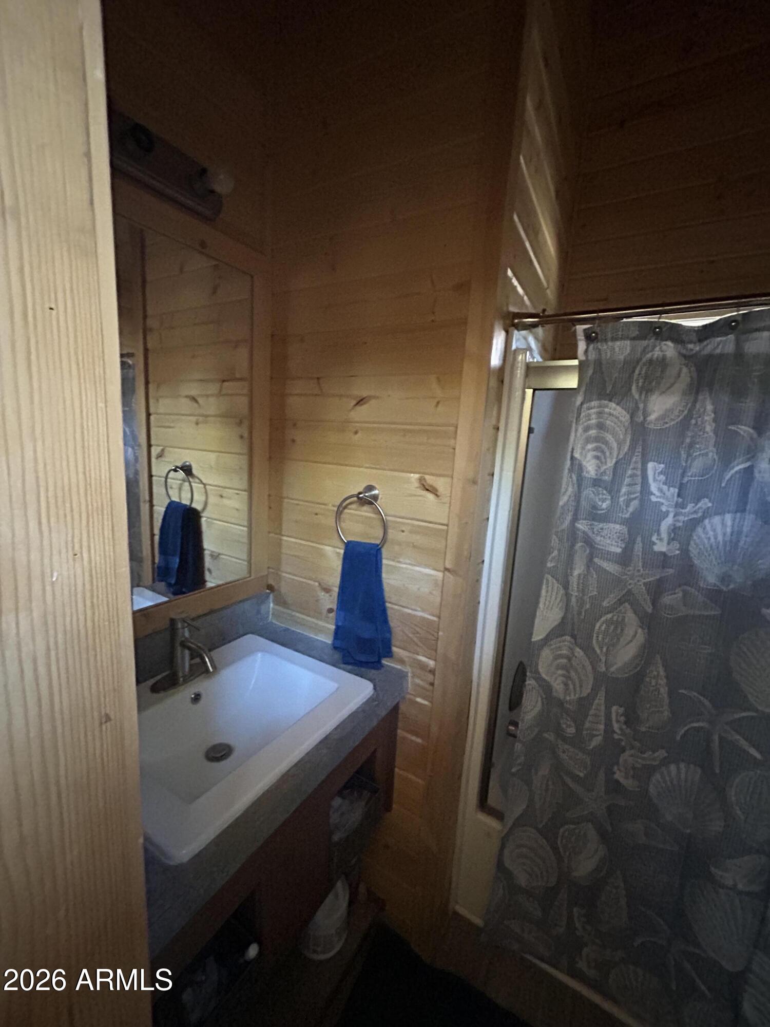 4020 South Elk Trot Loop Show Low, AZ 85901 - Photo 13 of 33 a bathroom with a sink toilet and shower