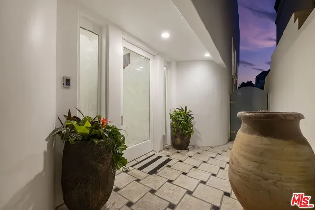 a potted plant sitting in front of a house