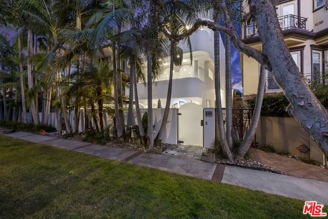 a view of a park that has a large tree