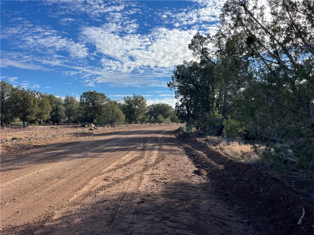 661 Amber Ridge Road, Unit 661 Seligman, AZ 86337 - Photo 9 of 21 POA-Maintained Edge Ridge Rd in front of property