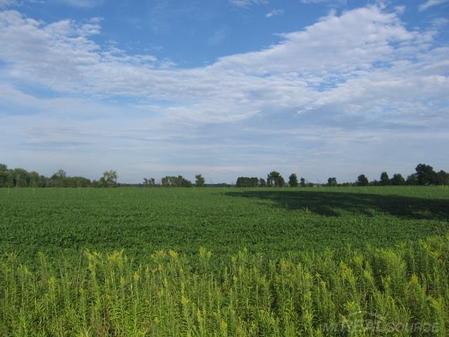 Tbd Fitch Carsonville, MI 48419 - Photo 3 of 7