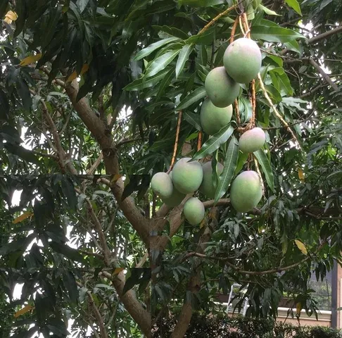 $7,775 | 9331 Southern Breeze Drive, Orlando, FL 32836