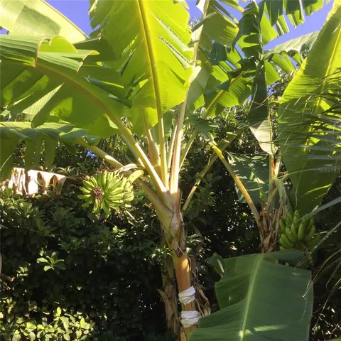 $7,775 | 9331 Southern Breeze Drive, Orlando, FL 32836