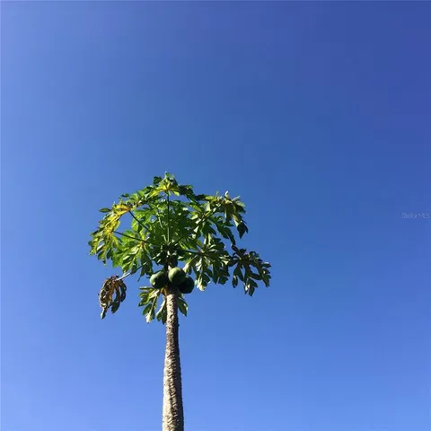 $7,775 | 9331 Southern Breeze Drive, Orlando, FL 32836