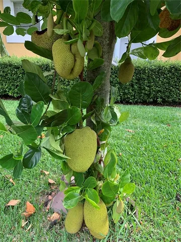 $7,775 | 9331 Southern Breeze Drive, Orlando, FL 32836