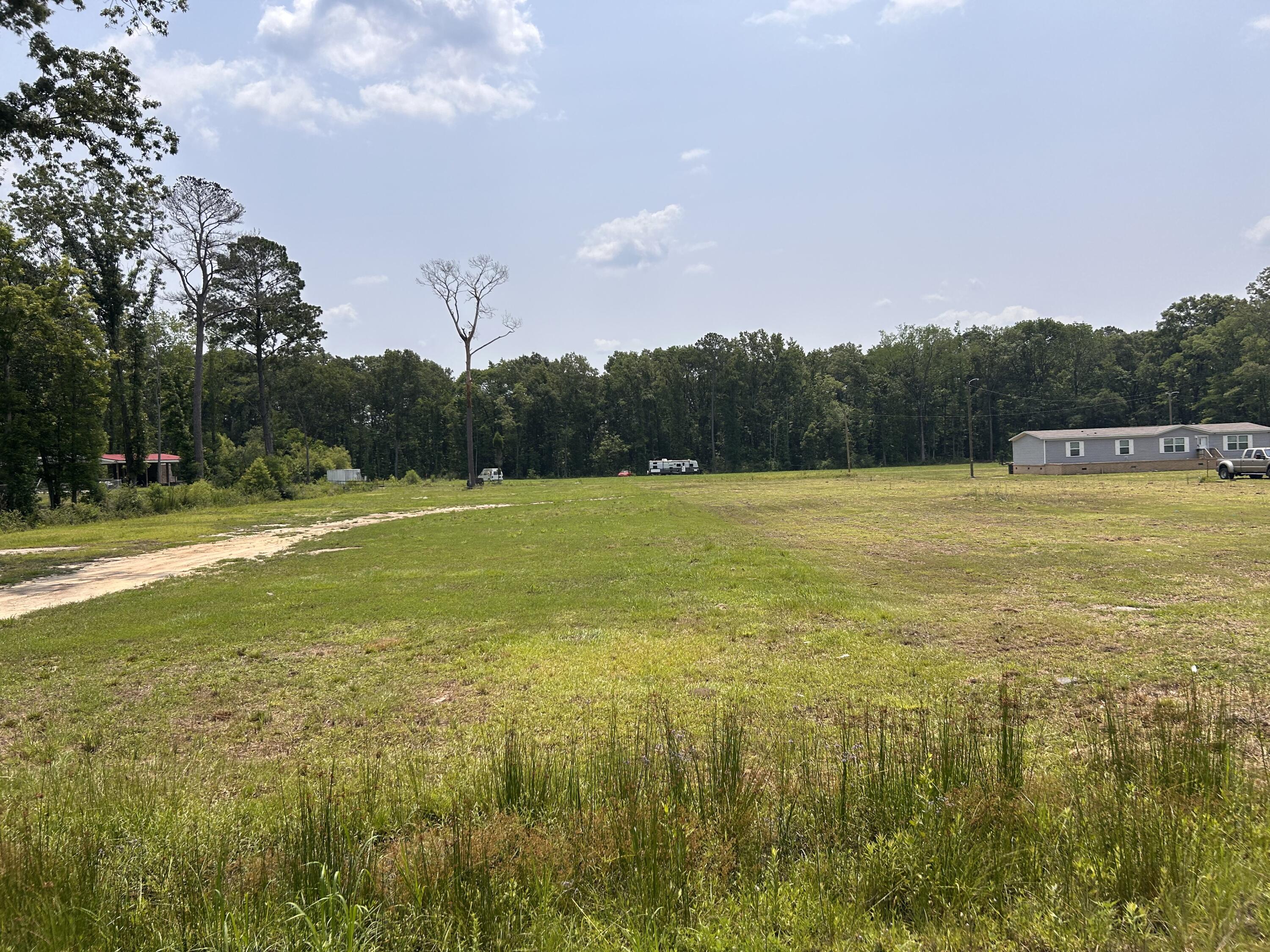 0 Estate Road Moncks Corner, SC 29461 - Photo 5 of 8 IMG_7547