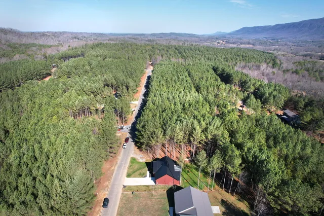 $394,900 | 140 White Water Run Lane, Ocoee, TN 37361