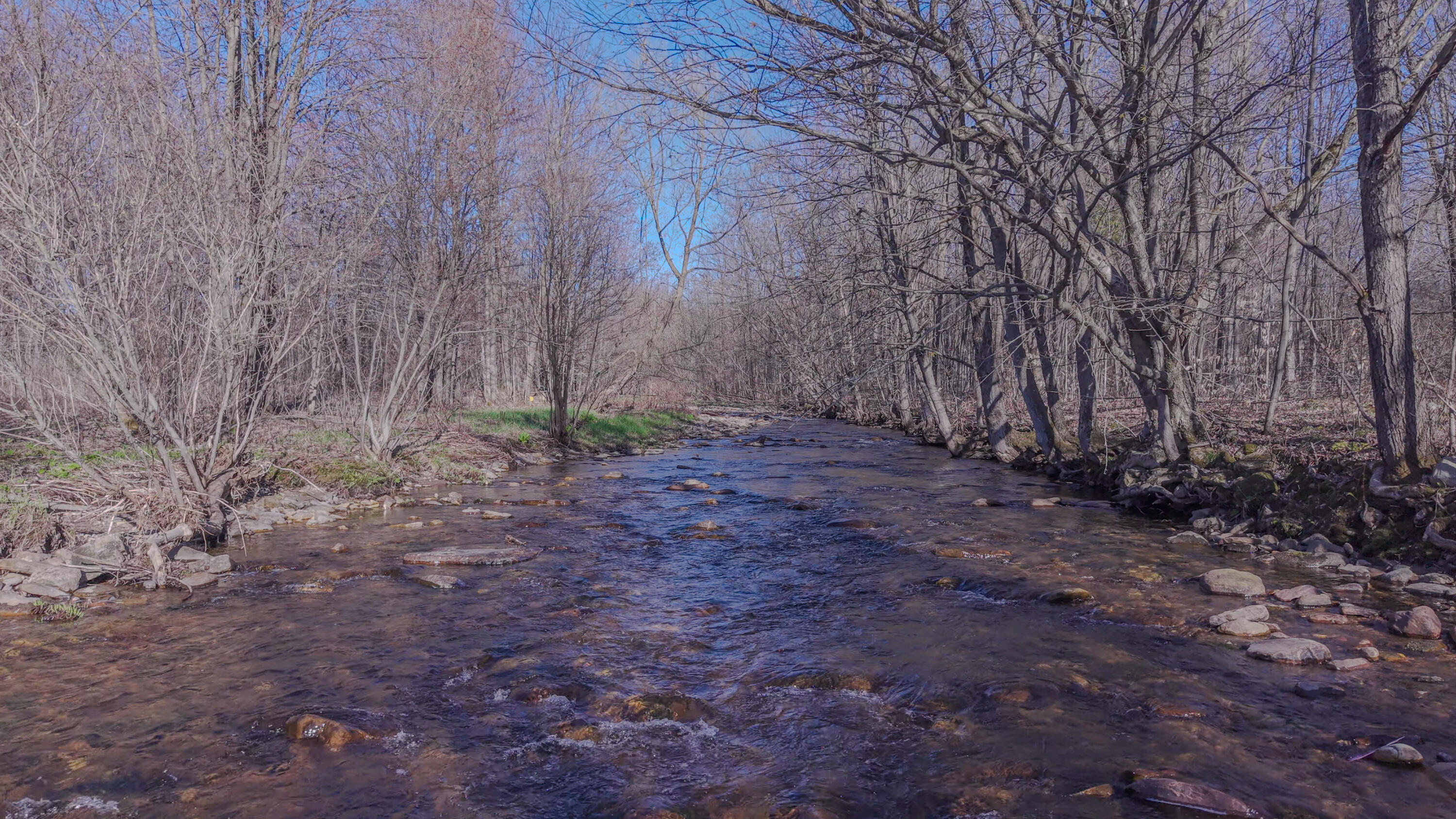 62 Chambers Road Burke, NY 12917 - Photo 11 of 52 Burke_drone_0454