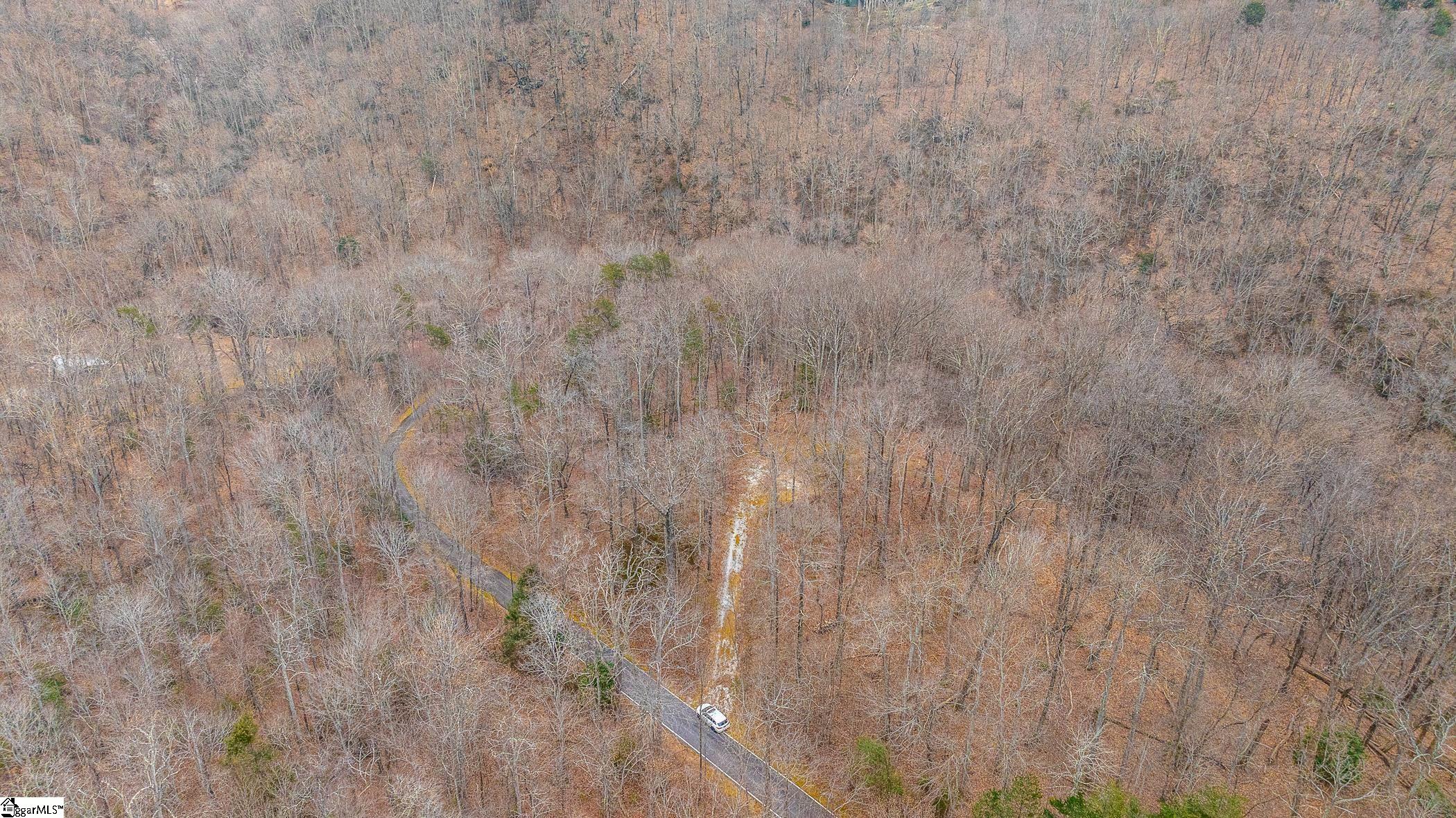 8 Granite Falls Drive Landrum, SC 29356 - Photo 11 of 11