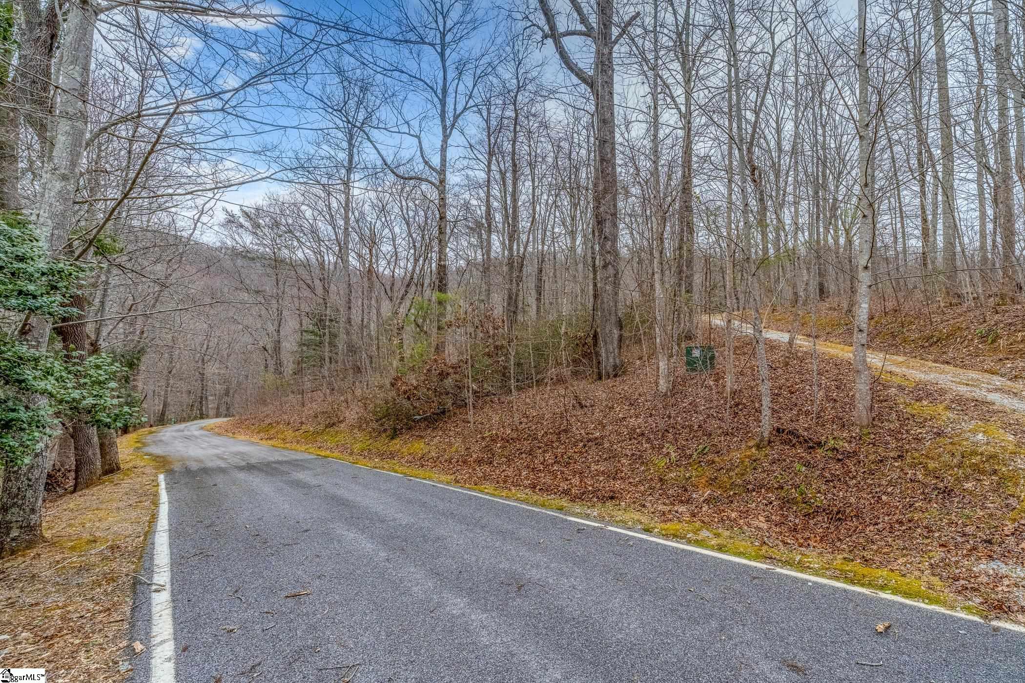 8 Granite Falls Drive Landrum, SC 29356 - Photo 2 of 11