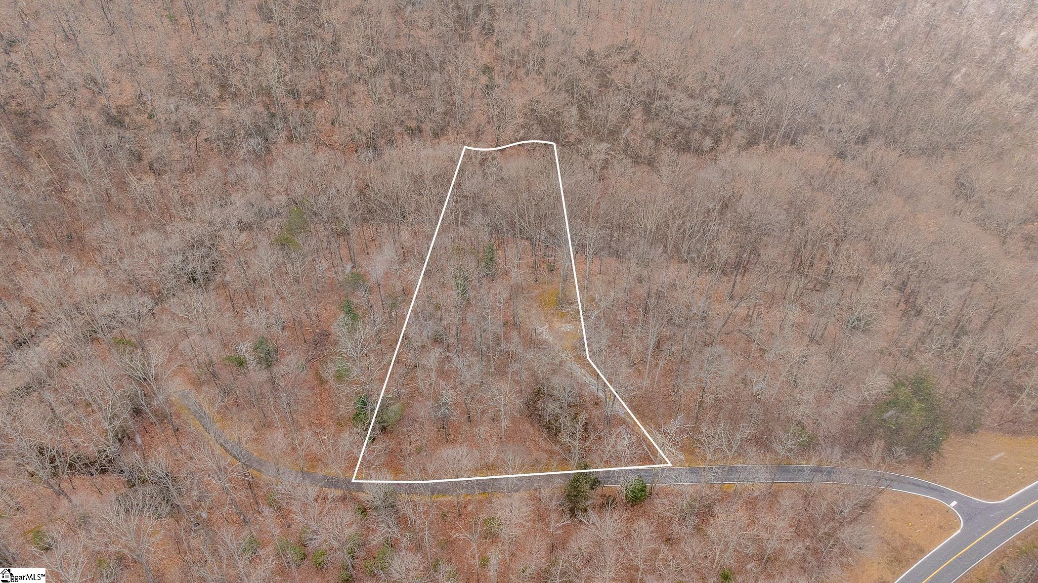 8 Granite Falls Drive Landrum, SC 29356 - Photo 3 of 11