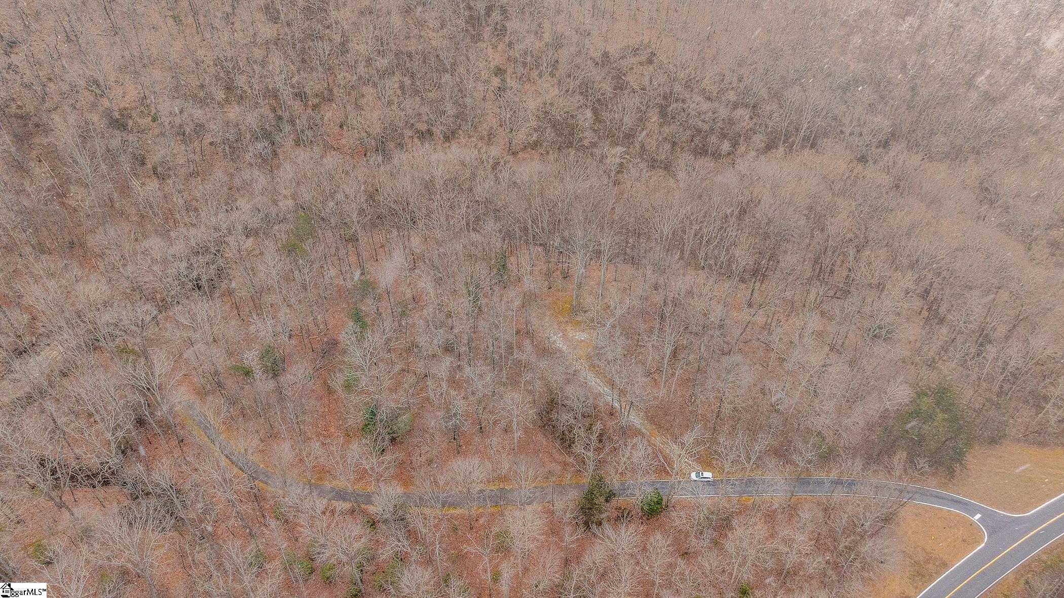 8 Granite Falls Drive Landrum, SC 29356 - Photo 4 of 11