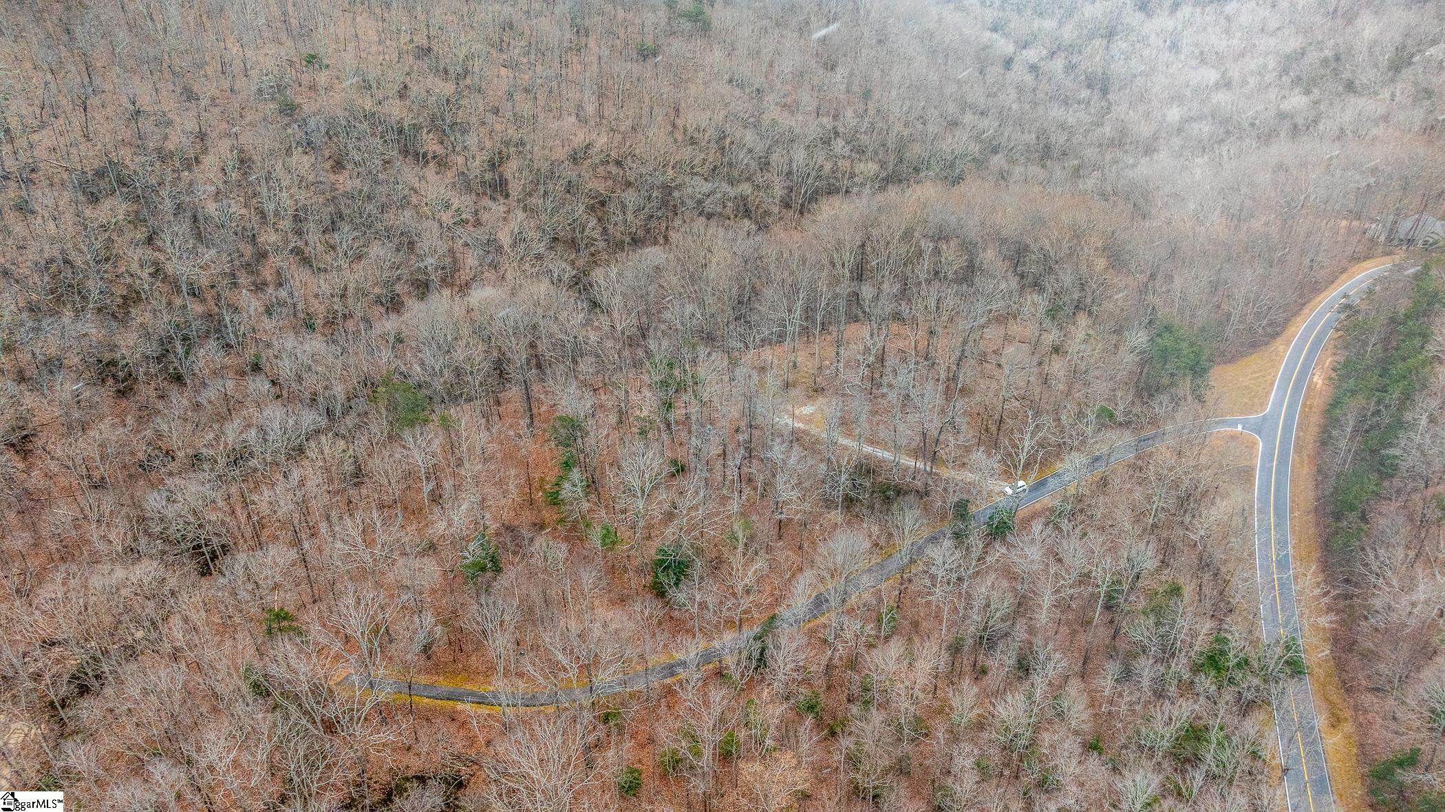 8 Granite Falls Drive Landrum, SC 29356 - Photo 5 of 11